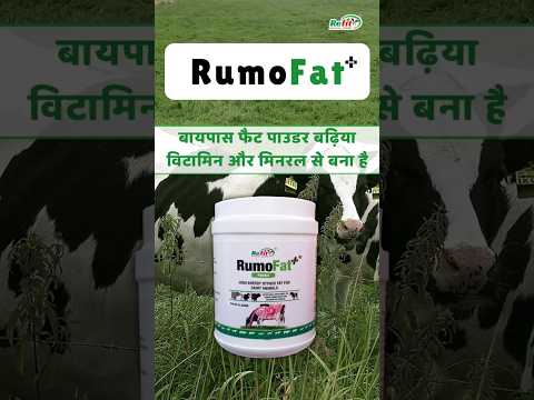 RumoFat - Rumen Bypass Fat Supplement